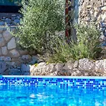 فيلة Volcera باكار