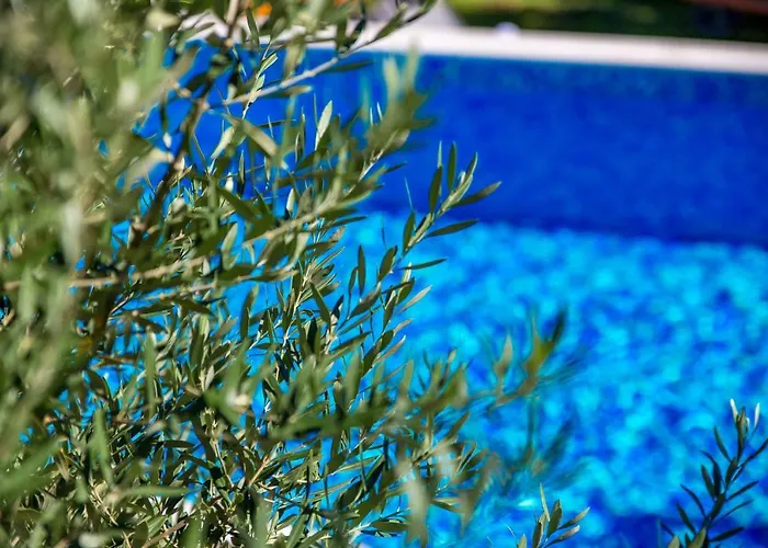 别墅 Volcera 巴卡尔